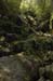 _DSC0083