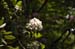 _DSC0181